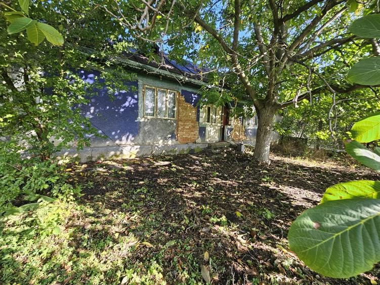 Casa cu teren Conduratu la 4 km de Mizil - 5