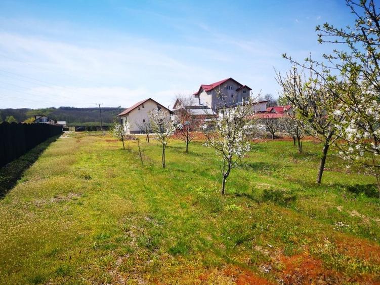 Casa P+E, BASCOV, semifinisata, teren 5044mp - 4