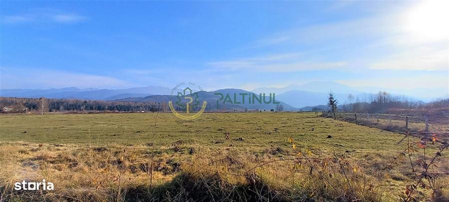 Teren intravilan, 1000 mp cu PUZ - locatie deosebita, Sibiu - Valea Av - 5