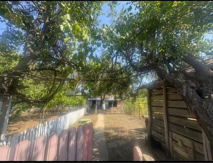 Casa de vanzare in sat.Floroaica 2 800 m+teren agricol intravilan 2 096 m - 3