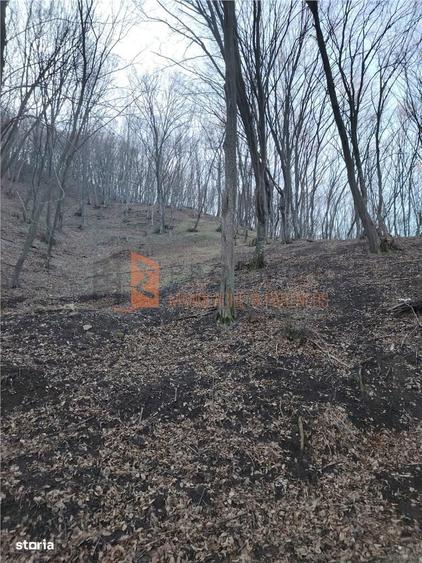 Teren intravilan zona Monteoru - 4