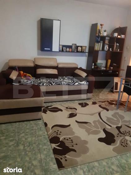 De vanzare casa 99 mp, teren 7,5 ari in Lazuri, Satu Mare - 5