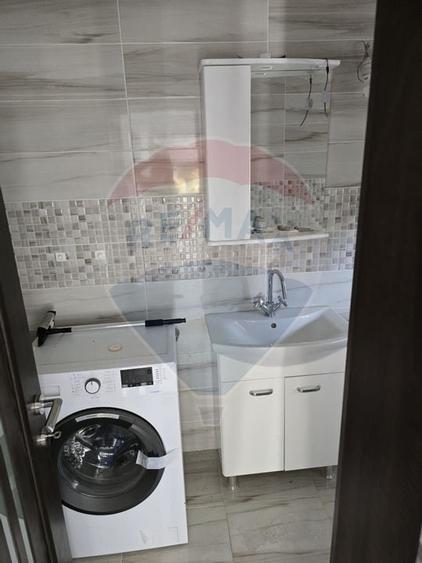 Casa noua + casa veche boiereasca renovabila - 3