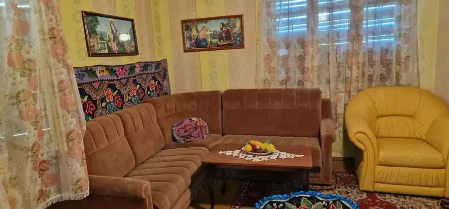 Casa si teren ideal pentru legumicultura - 4