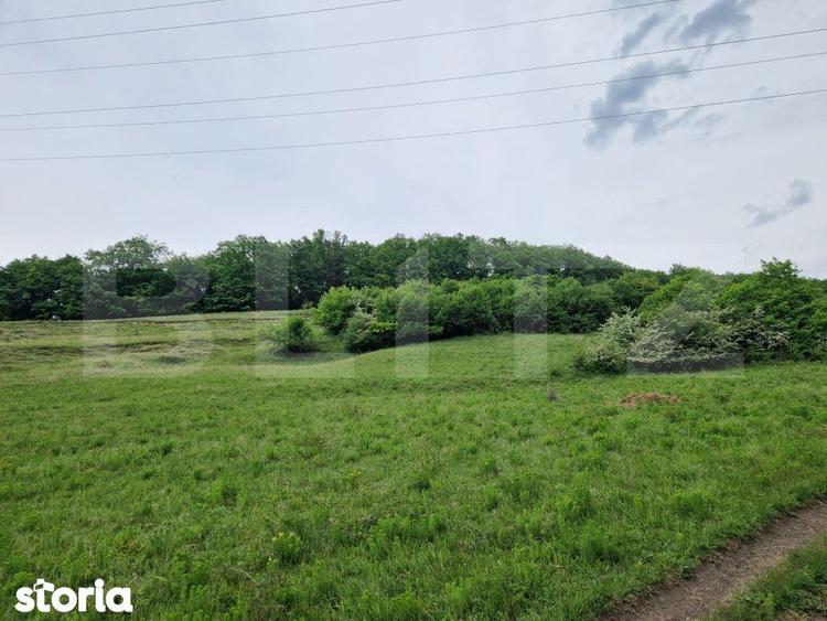 Teren extravilan de vanzare Vlaha 14.500 mp, zona superba, ideal pentr - 3