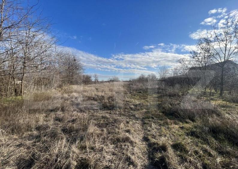 Teren 1100/2200 mp, zona Cosoveni-Profi - 1