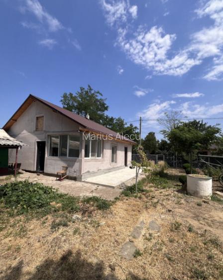 Casa de vacanta - Munteni Buzau - Jutetul Ialomita - Curte 2 Casa de vacanta - Munteni Buzau - Jutetul Ialomita - Curte 2