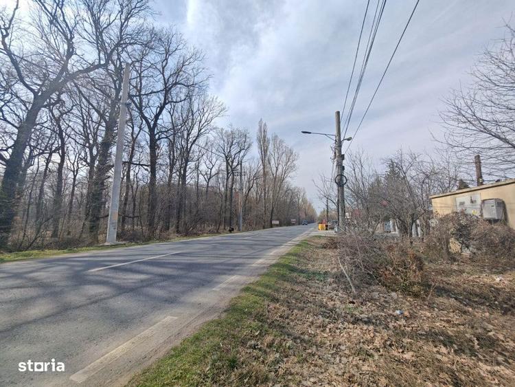 OPORTUNITATE -Teren de Vis la Marginea Padurii 5000 mp in Ciorogar - 5