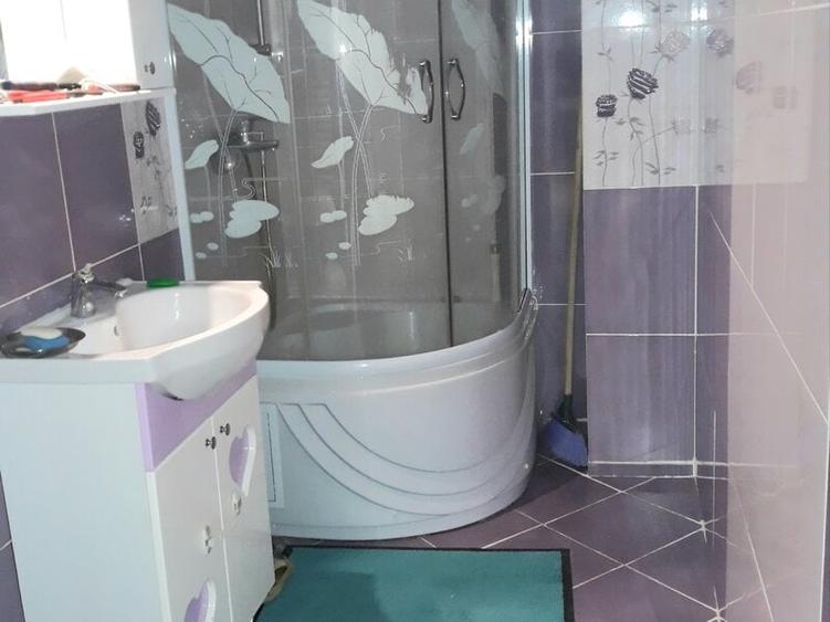 Colentina, Doamna Ghica, Parc Plumbuita, semistradal - 15