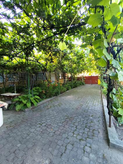 Casa de Vanzare, Sintea Mare, 6 km de orasul Chisineu Cris - 6