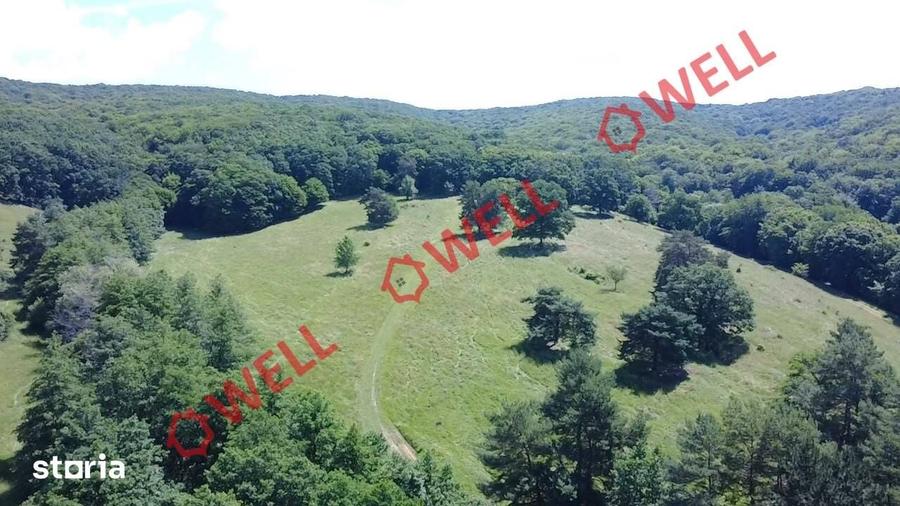 Teren de 46300 mp, în Ghidfalău