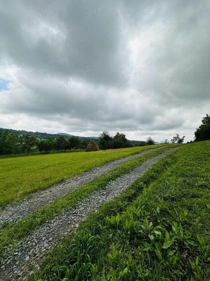 Casa ?i teren Varmaga Hunedoara - 3