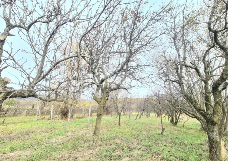 Casa cu teren generos, in centrul comunei Mu?ete?ti - 9