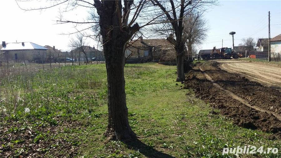 Doua terenuri intravilane 2600 m2 ( 2x 1300 m2 ) Giurgi?a, Dolj 26.000,00 - 4