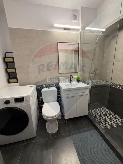 Apartament cu 2 camere de inchiriat in zona Brazda lui Novac