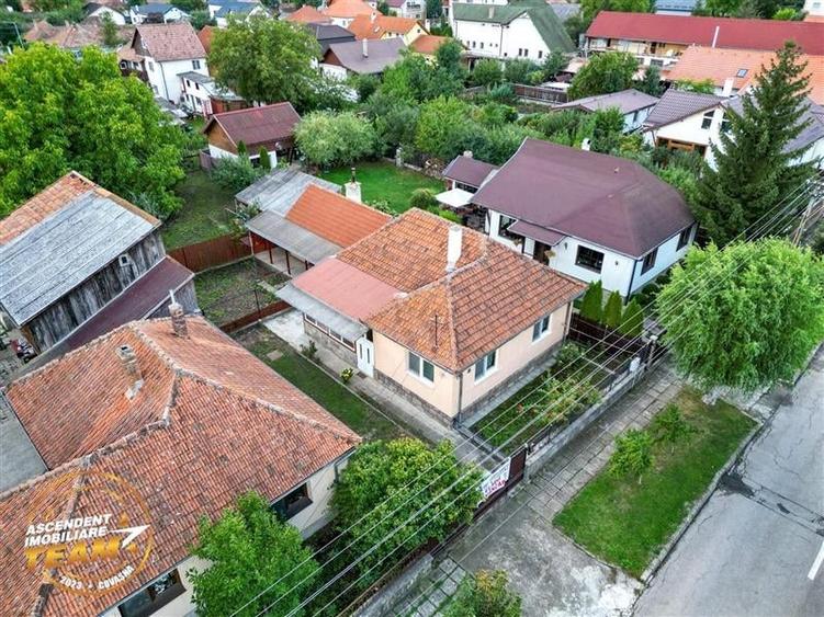 FILM&3D! Casa ospitaliera,curte si gradina asortata,arie linistita,Simeria,Sfant - 25