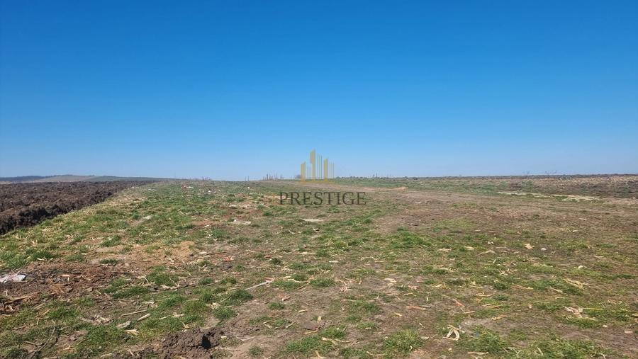 TEREN INTRAVILAN PENTRU CONSTRUCȚIE CASĂ | ȘURA MICĂ | PUZ APROBAT - 3