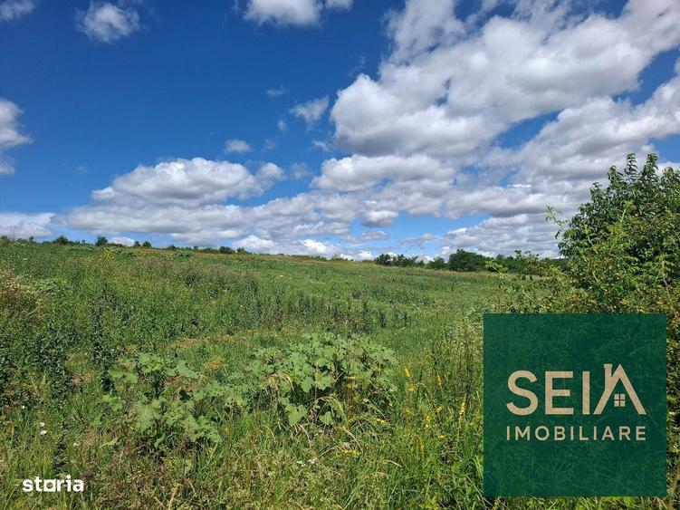 Teren intravilan Fantanele, Bacau 2.000 mp - 1