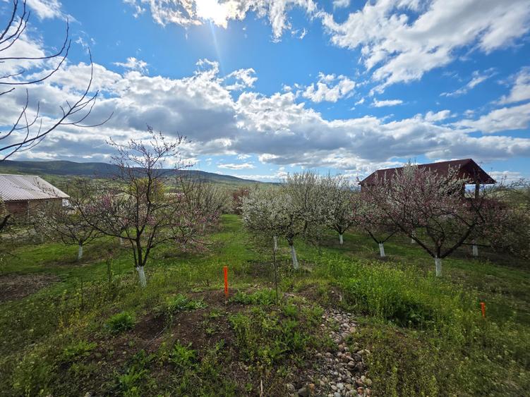 Vand teren intravilan loc.Barsau Hunedoara - 4