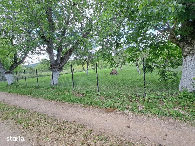 Teren (2400mp)de vanzare in Galda de Jos- Benic - 2