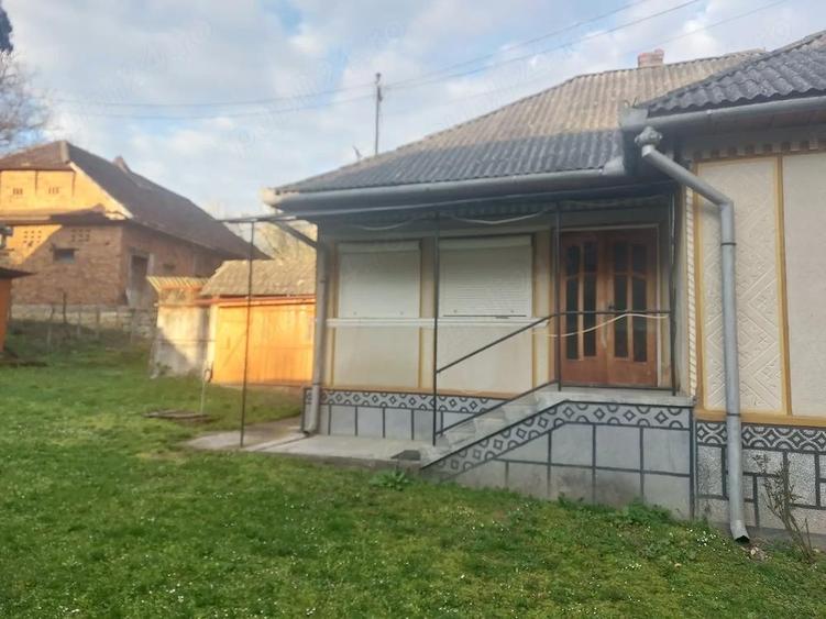 De vanzare gospodarie - 2