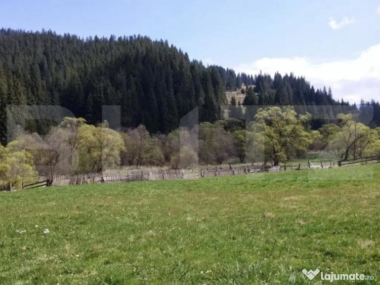 Teren intravilan in Vatra Dornei, 1299 mp - 3