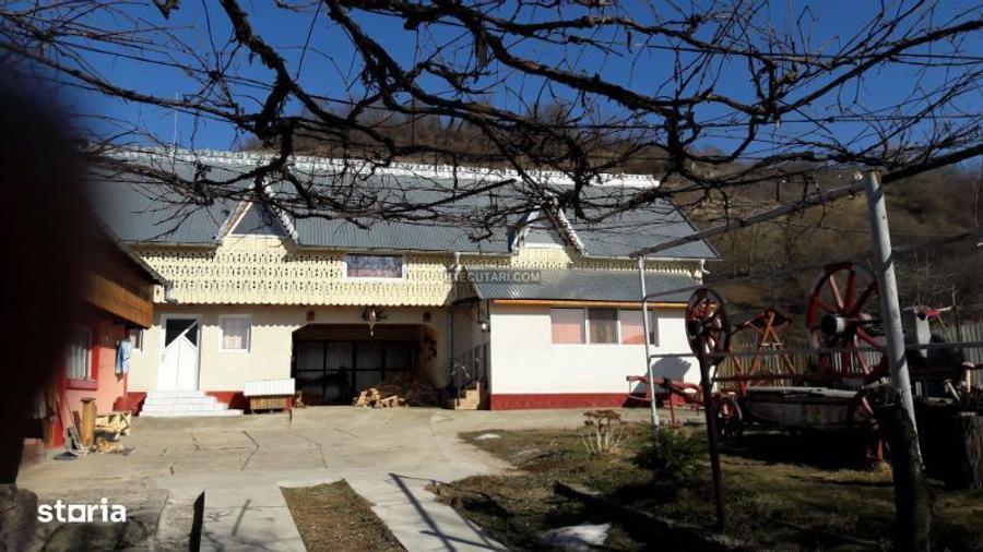 Teren 3.523 mp + Doua case si Anexe 180 mp - Plopu, Bacau - 5