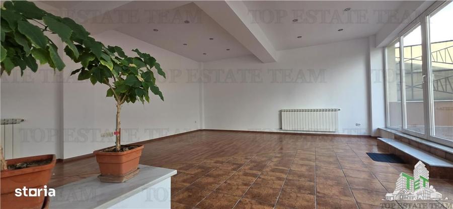 Vanzare Vila 6 camere Ion Mihalache - Miciurin - 6
