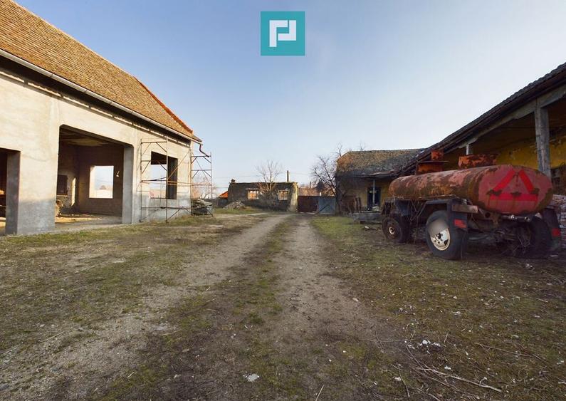 Teren ?i hale pe Calea Aradului din Periam - 6