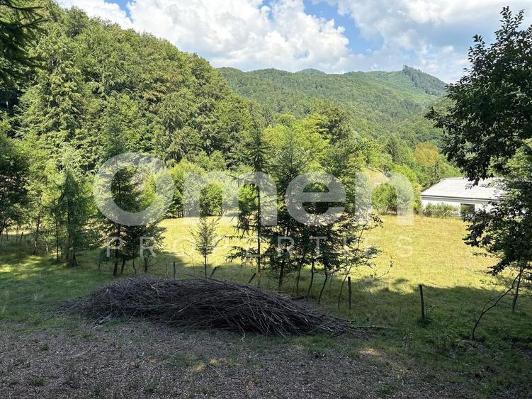 Teren extravilan de vânzare | 1402 mp | Blidari | zonă superbă - 8