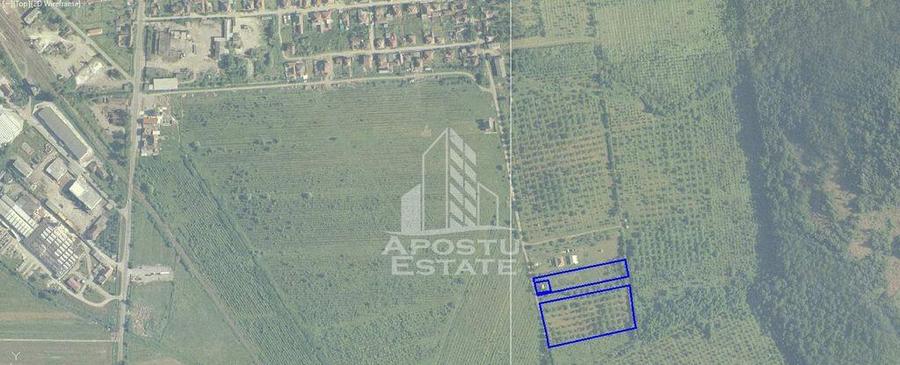 Teren Construibil - Sebis - 1