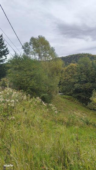 Casa de locuit 5 camere ,mobilata si utilata-Radila-Valea Calugareasca - 7