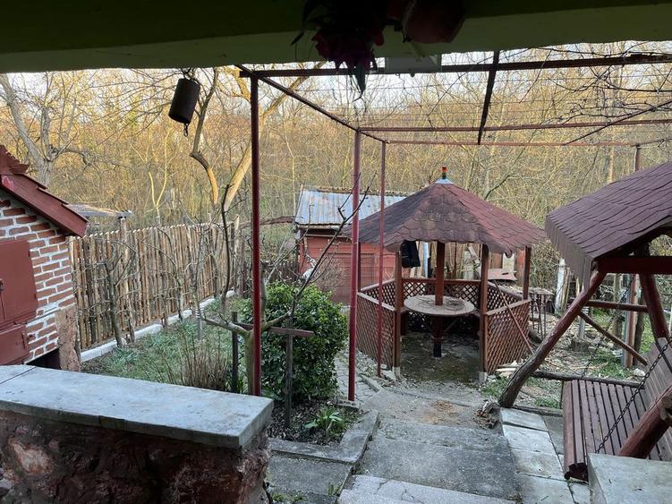 Casa de vanzare in dealul viilor Ineu - 6