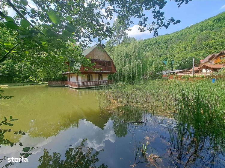 RECO, Cabana pe apa in Padurea Neagra, Bihor - 12