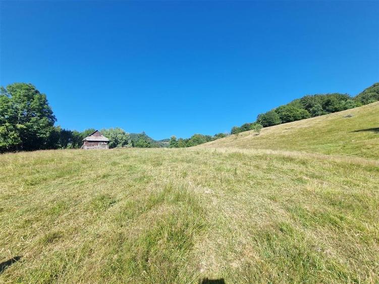 RECO teren extravilan Remeti - 5