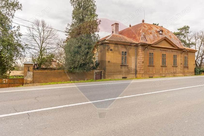 Conac aristocratic secolul XIX , domeniu 2,5 hectare Pauli?, Arad - 12
