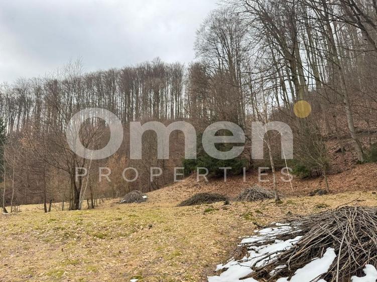 Teren extravilan de vânzare | 1402 mp | Blidari | zonă superbă - 2