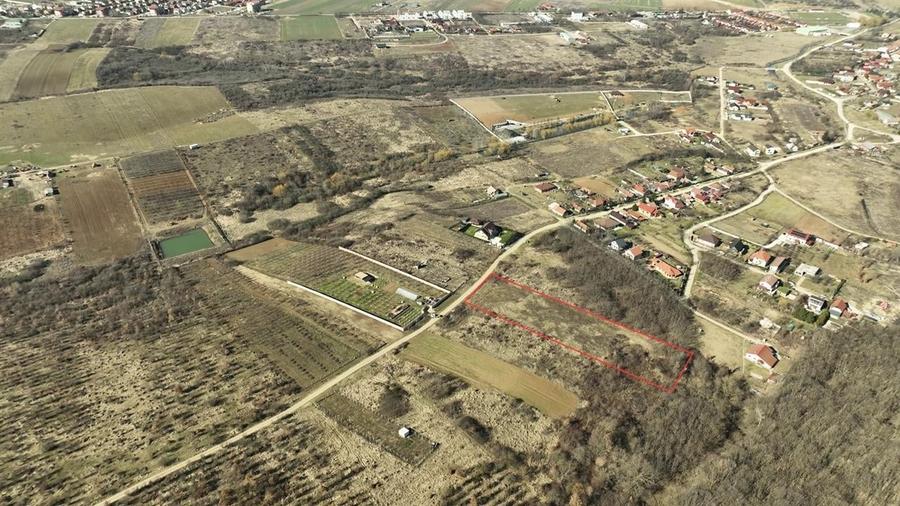 RECO Teren intravilan Paleu - 1