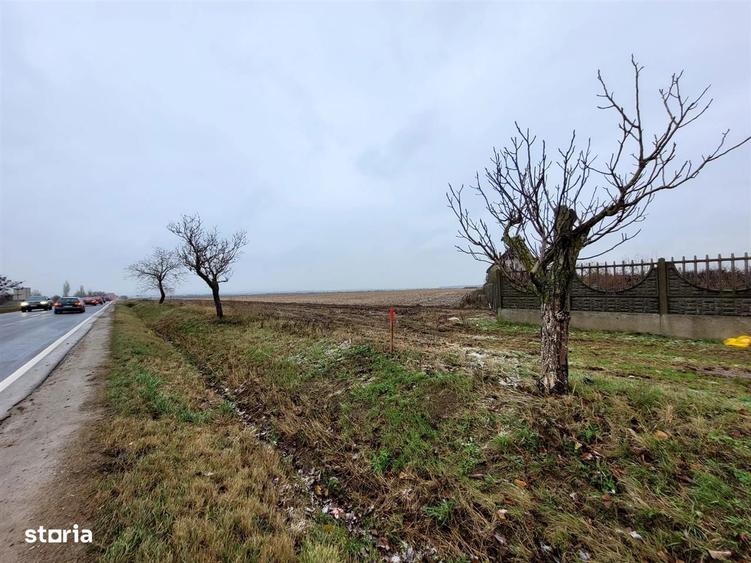 Teren intravilan,Calea Aradului,zona aeroport, Oradea - 2