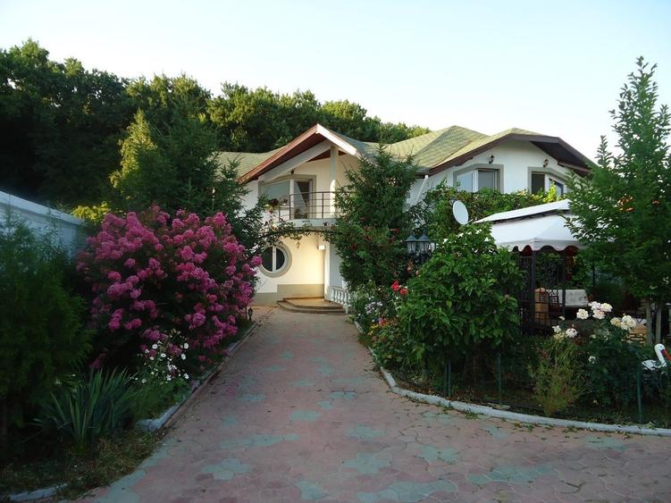 Vila piscina superba gradina matura cu iesire directa la padure - 39