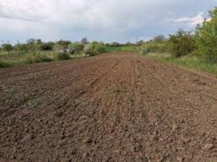2 ha teren agricol la Simnicu de Sus judetul Dolj - 1