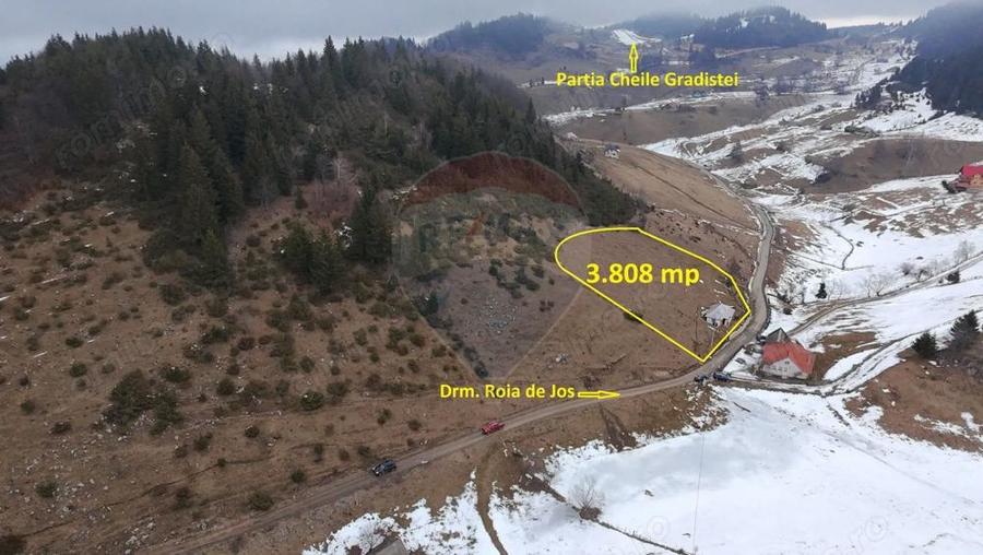 Teren 3808mp+Casa Fundata, Bra?ov - Cheile Gradi?tei - Drum asfaltat - 7