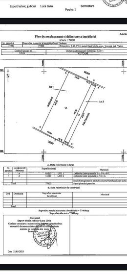 Proprietar teren arabil 6,5 ha, com Vutcani, jud Vaslui, 6900euro/ha P - 2