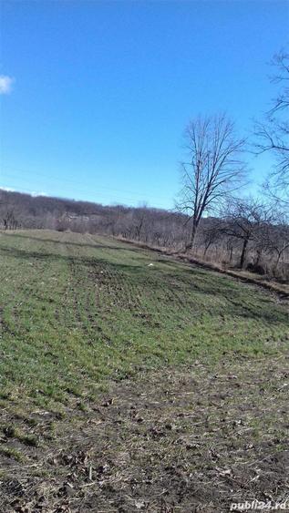 Vind ca?a la curte 3 camere,construita in anul2000 - 1