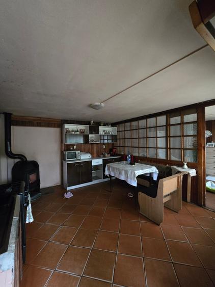 Mosnita Veche- Vila 2 apartamente- Teren 1100 mp - 14