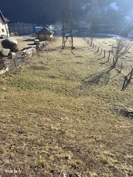 Teren de exceptie in Rucar, aproape de Brasov intimitate, natura s - 3