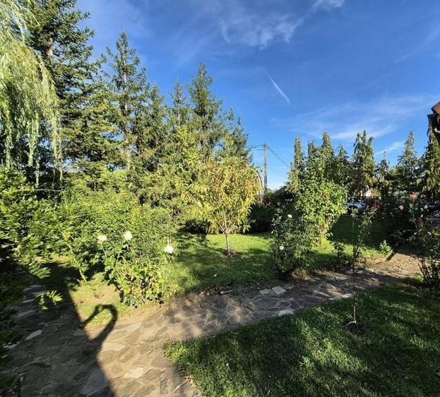 Cabana de lemn cu fundatie 86 mp+ livada pomi fructiferi+teren 847 mp - 11