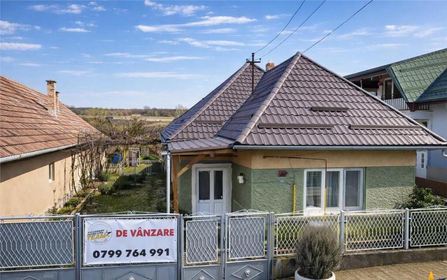 Gospodarie cu atmosfera traditionala,sursa proprie apa,pivni - 3