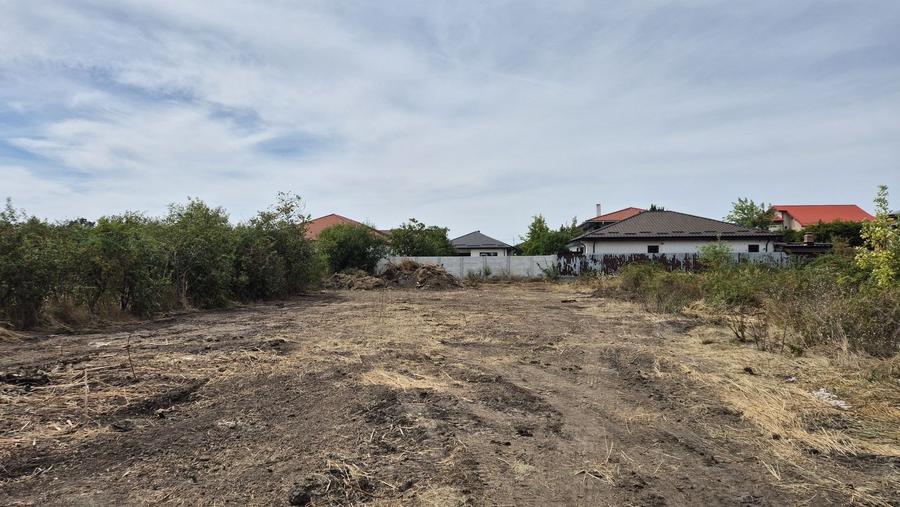 Teren intravilan 1000 mp - Domnesti - 4