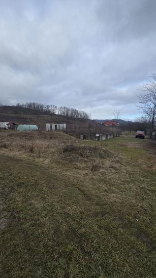 Teren de vanzare Copacelu - 3